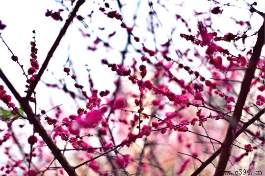 �ܿ�����Ԥ��15��