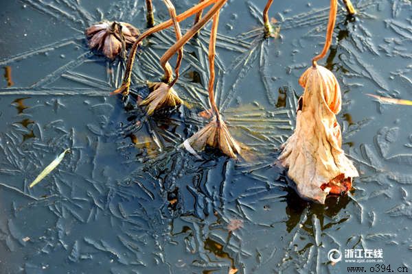 �ܿ�����Ԥ��15��