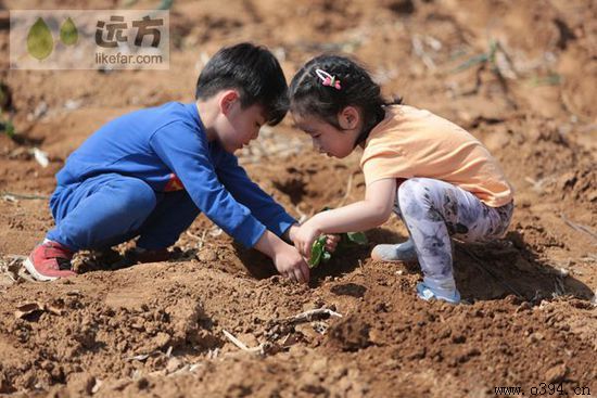 五一去周口好玩吗