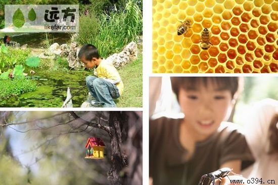 五一去周口好玩吗