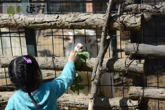 五一去周口好玩吗