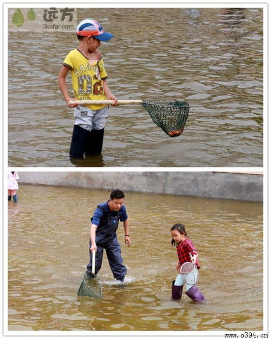 五一去周口好玩吗