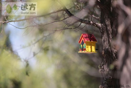 五一去周口好玩吗