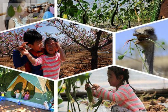 五一去周口好玩吗