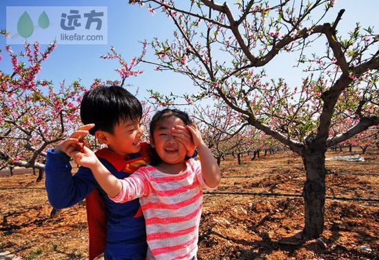 五一去周口好玩吗