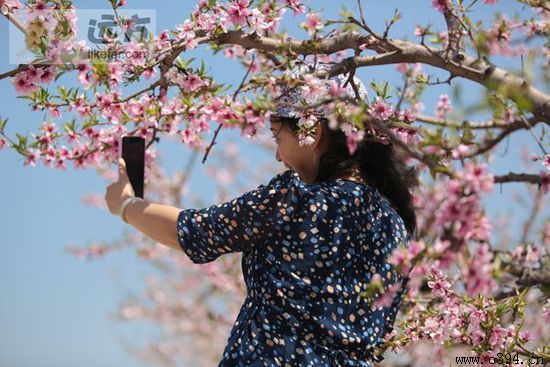 五一去周口好玩吗