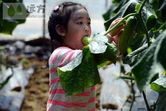 五一去周口好玩吗