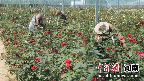 ���������ϣ��ܿڴ�������õ����ֲ������õ�徭�á�